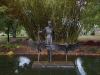 Brisbane Botanical Garden: Fountain